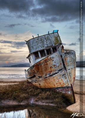 Beached - Point Reyes