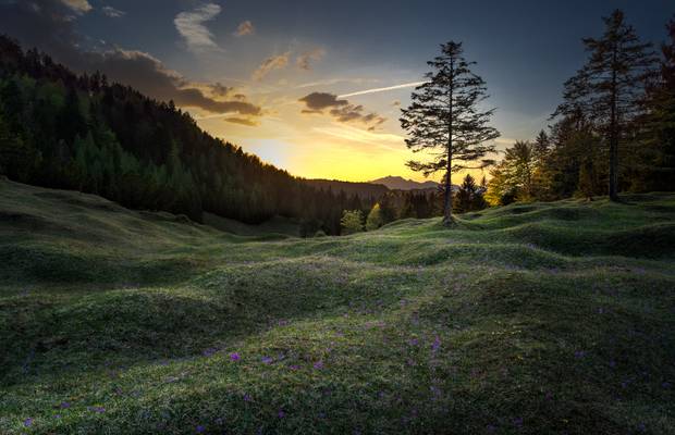 Spring in the Alps