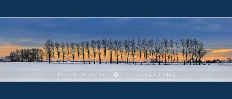 Winter Light I - Netherlands