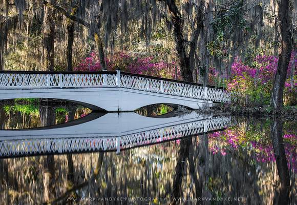 Lowcountry South Carolina Spring Scene