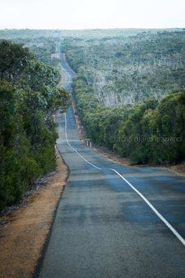 Australian road along our journey