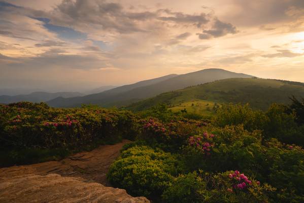 Accenting the Curves