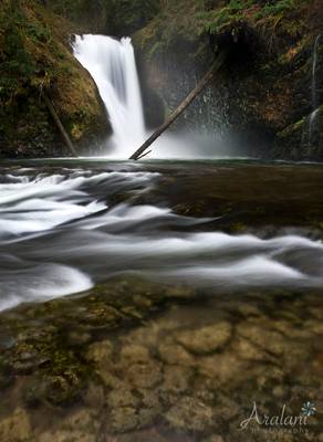 Ghostly Mist