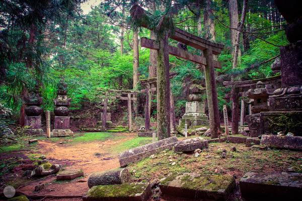 Old cemetery, Koyasan [JP]