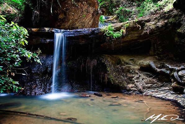 Golden Cascades, Big Basin State Park