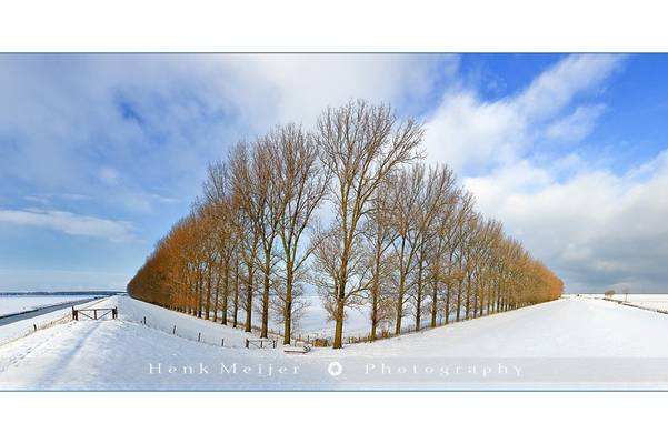 Composition with Trees - Woldendorp - Netherlands