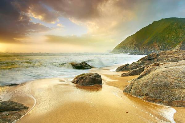 Ocean Mist - Grey Whale Cove, California