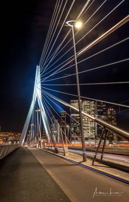 Glowing Erasmus Bridge I