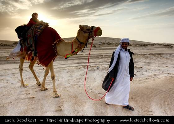 Qatar - Camel and its driver passing accros desert at sunset
