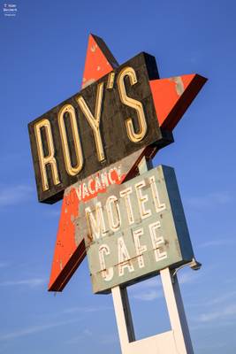 Roy's