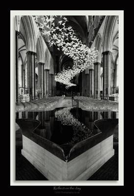 - Reflect on the Day