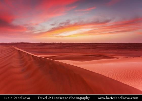 Oman - Pink Sky over Sea of Sand Dunes in Wahiba Sands