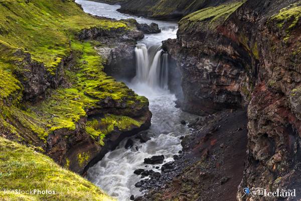 Markarfljótsgljúfur in the Highlands of Fjallabak Syðri - Doc