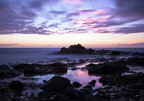 purple coast