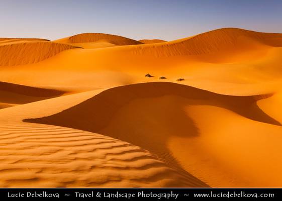United Arab Emirates - UAE - Shapes & Shadows of Empty Quarter Desert - Rub Al Khali