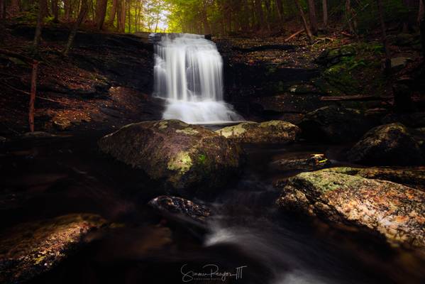 Portrait of a Waterfall