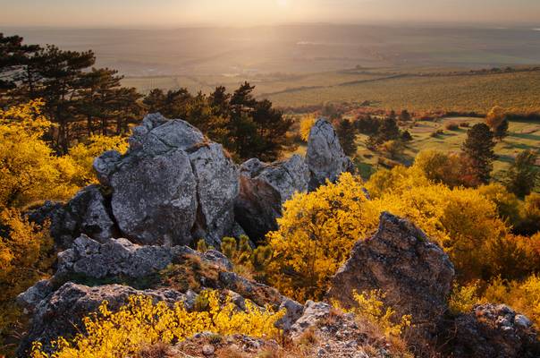 Colours of Autumn