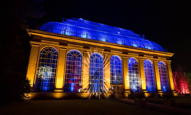 Christmas at the Botanics (2)