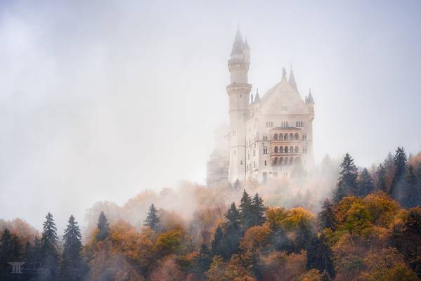 Autumn under Neuschwanstein