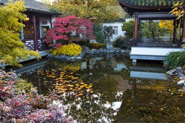 Lu San Chinese Gardens, Portland, Oregon