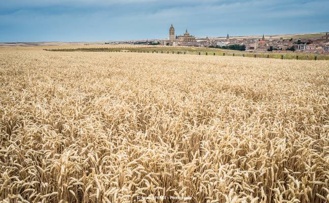 Castilla fields