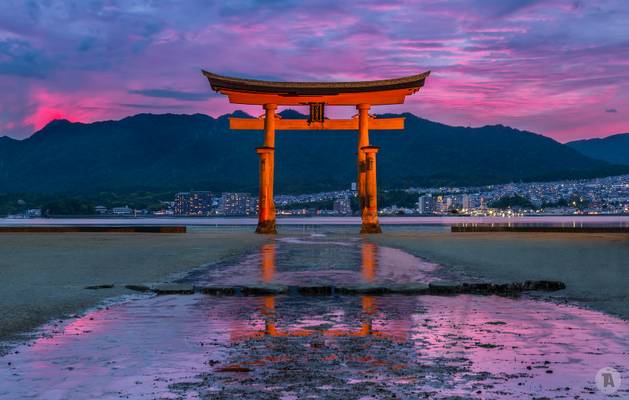 The great Torii (2/2) [JP]