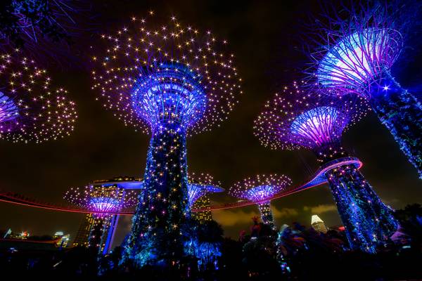 Supertree Grove at night VII, Singapore.