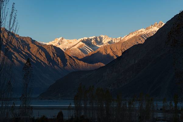 Dawn at Sumur, Nubra valley