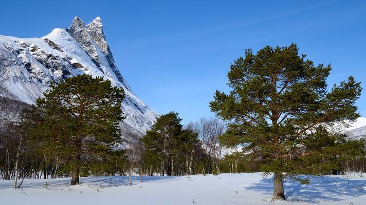 Otertind, Storfjord, 1354 moh