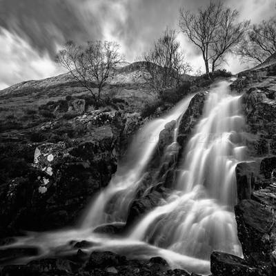 Waterfall and Trees