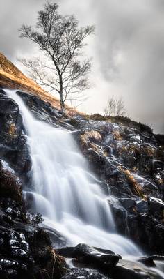 Waterfall and a Tree