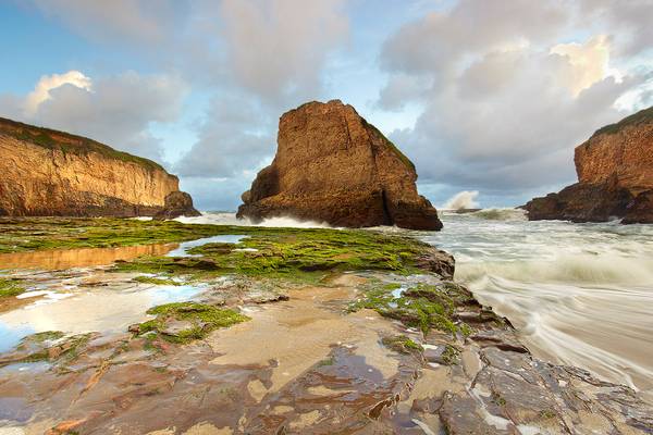 Shark Fin Surf #1 - Santa Cruz County, California