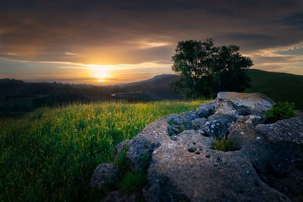 Golden Hour in the hills of Havelock North