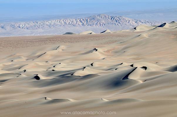 Desert landscape with sand dunes of Pica and mountains. Atacama desert, Chile