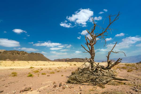 Israel, Wüste Negev