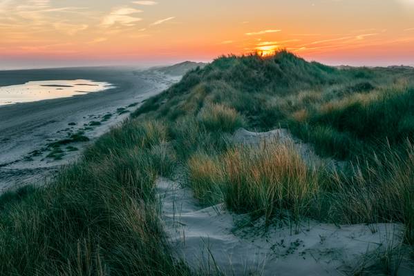 Ameland Dunes