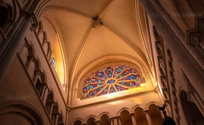 _DSC0736 - Lyon Cathedral Rose