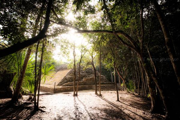 The ruins of Coba