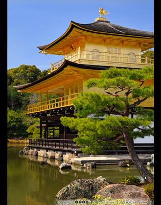 Golden Pavilion II