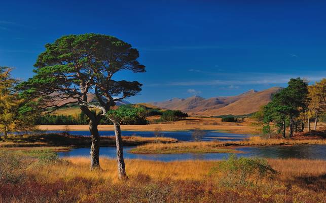 Loch Tulla