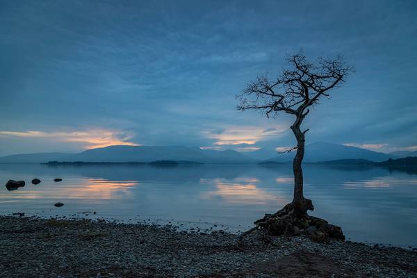 Millarochy Bay - Loch Lomond