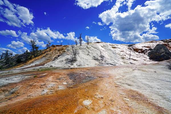 Mammoth Hot Springs, Yellowstone NP, USA
