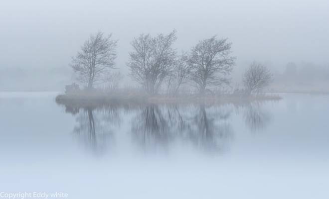 Island in the Mist