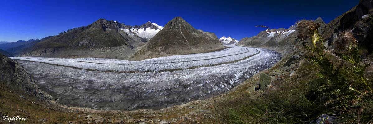 Glacier d'Aletsch 1