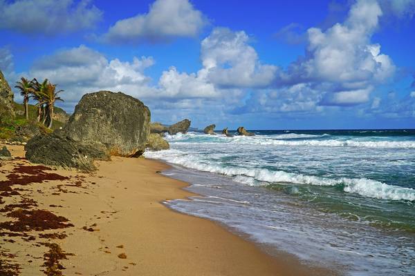 Splendid Atlantic shoreline, Bathsheba, Barbados