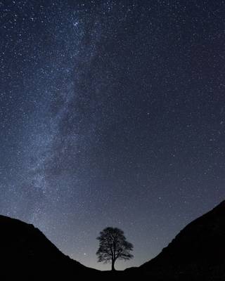The Milky Way over Sycamore Gap