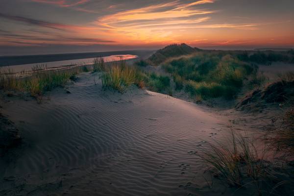 The dunes of Ameland, Netherlands