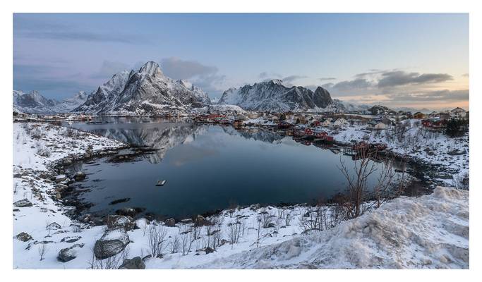 reine-1234