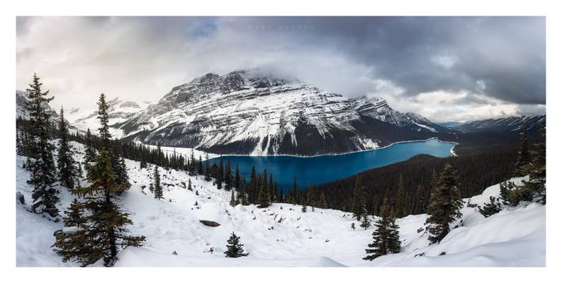 Peyto Lake