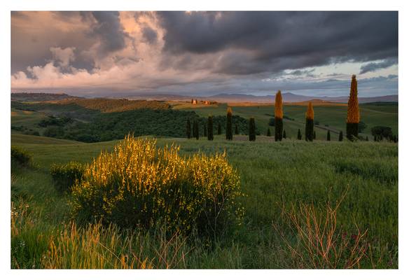 capelladivitaleta-6634